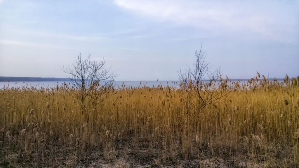 nudist beach on the kuyalnik 16