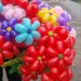 balloon flowers 2 a37cf856