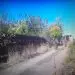 dalnitsky forest 3 8fd2d26d