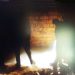 secrets underground odessa 4 7ef14964